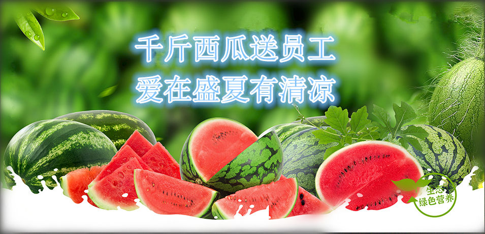 通達軟件公司： 千斤西瓜送員工，愛在盛夏有清涼